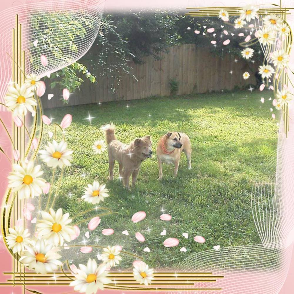 Meet your Posher, Lynzee